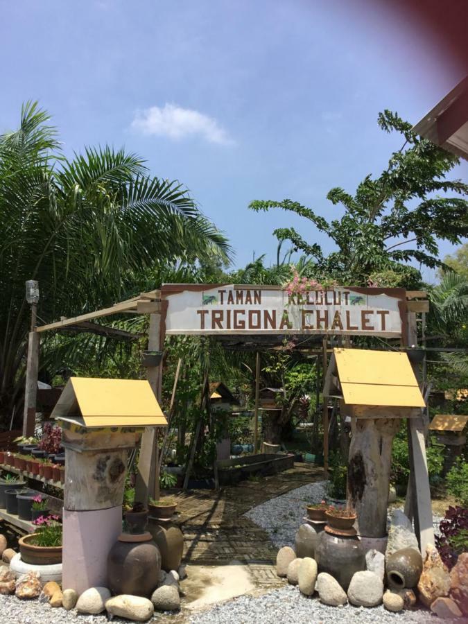 Trigona Chalet Otel Marang Dış mekan fotoğraf